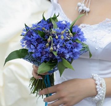 blue flowers bouquet. the bright lue flowers!